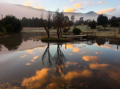 Acheron Acres Riverside - Accommodation Georgetown 2