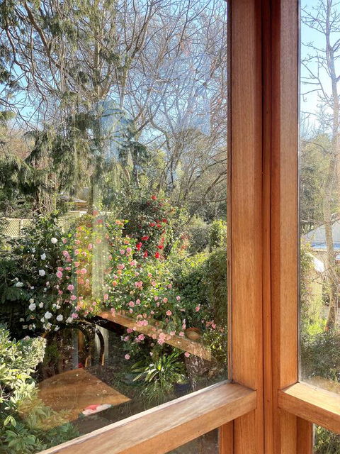 Adelaide Hills 'Camellia Cottage' - WiFi - Accommodation Georgetown 3