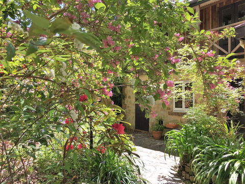 Adelaide Hills 'Camellia Cottage' - WiFi - Accommodation Georgetown 2
