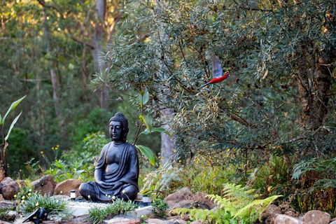 Dorrigo Bush Pepper Retreat - Accommodation Georgetown 4