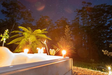Dorrigo Bush Pepper Retreat - Accommodation Georgetown 2