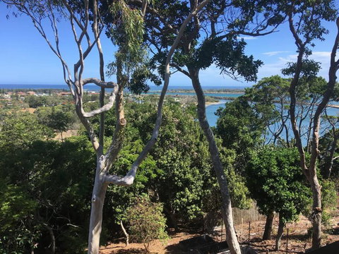 DRIFTWOOD- Hidden Gem, Great View In A Nature Setting - Accommodation Georgetown 2
