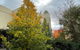 East Melbourne Studio - MCG, CBD, Shops, Transport - thumb 4