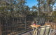 Echidna On Bruny - thumb 4