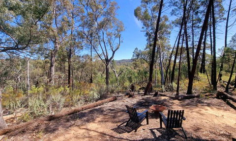 Echidna Ridge By Tiny Away - Accommodation Georgetown 1