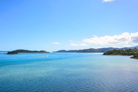 Edge 11 & Free Buggy - Hamilton Island - Accommodation Georgetown 2