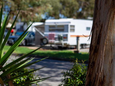 Echo Holiday Parks - Windsor Gardens - Accommodation Georgetown 4