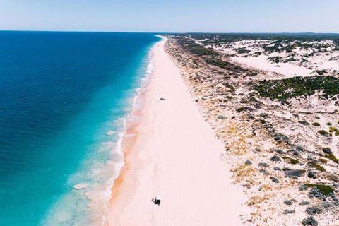 Escape To Preston Beach - Accommodation Georgetown 0
