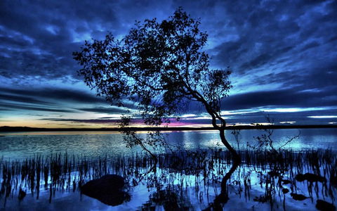 Eumarella Shores Noosa Lake Retreat - Accommodation Georgetown 2