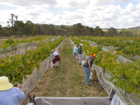 Fergies Hill Spa Cottage @ Granite Ridge Wines - Accommodation Georgetown 2