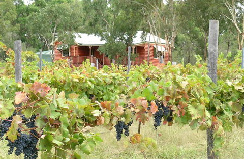 Fergies Hill Spa Cottage @ Granite Ridge Wines - Accommodation Georgetown 0