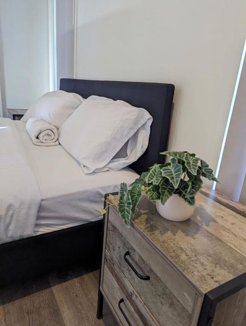 Gladstone Entire House 4 Beds 2 Baths Air-conditioned In City - Accommodation Georgetown 0