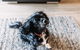 Galoola Hidden Gem, 2 97 Galoola Drive, Pet Friendly, Rooftop Outdoor Area With Spectacular Views, Wi-Fi And Air Conditioning - thumb 2