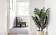 Georges Bay Bungalow - Home - thumb 2