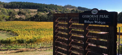 Gisborne Peak Winery Short Term Stays - Accommodation Georgetown 0