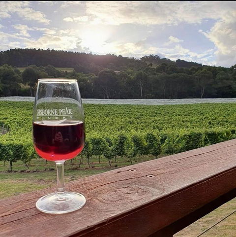 Gisborne Peak Winery Short Term Stays - Accommodation Georgetown 3