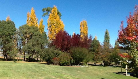 Glen Waverly Farmstay - Accommodation Georgetown 3