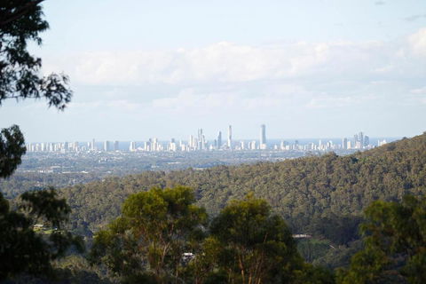 Gold Coast Tree Houses - Accommodation Georgetown 2