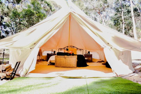 Golden Point Glamping - Accommodation Georgetown 0