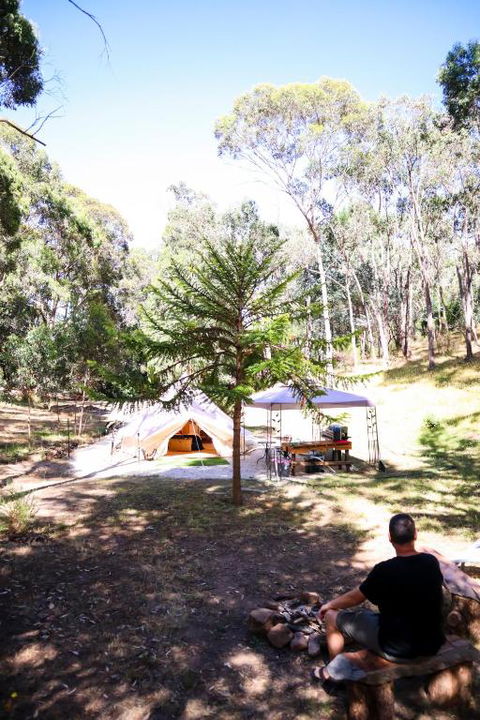 Golden Point Glamping - Accommodation Georgetown 4