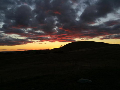 GOULBURN ALPACA FARM STAY - Accommodation Georgetown 2