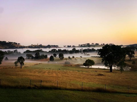 Grattai Grove Mudgee - Accommodation Georgetown 0