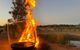 Grattai Grove Mudgee - thumb 1