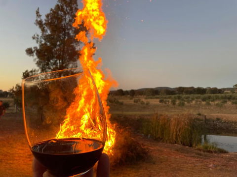Grattai Grove Mudgee - Accommodation Georgetown 1
