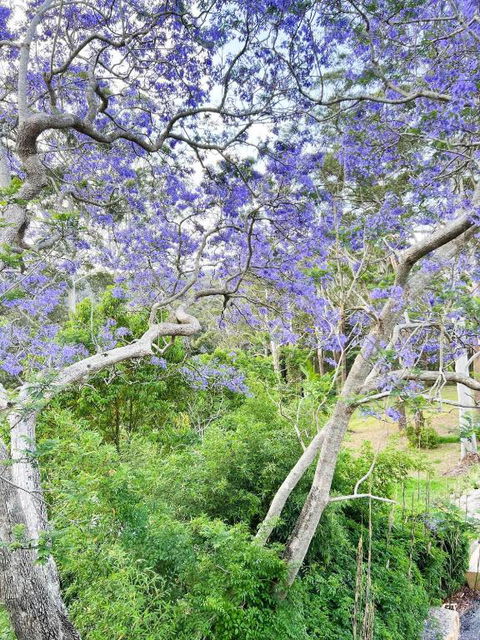 Green View Retreat Only 7 Minutes To Terrigal Beach - Accommodation Georgetown 3