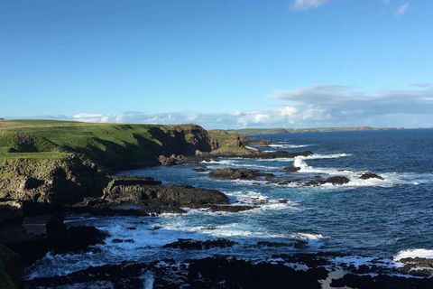Adrift At Ventnor On Phillip Island, Pets - Accommodation Georgetown 1