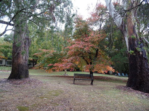 Alpine Park Riverside Cottages - Accommodation Georgetown 2