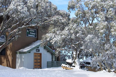 Alpine Retreat Mt Buller - Accommodation Georgetown 0