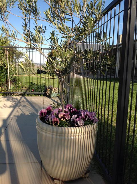 Amazing Views Pet Friendly Bed And Breakfast - Accommodation Georgetown 3