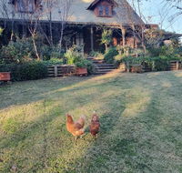 Angaston by the Winter Creek - Accommodation Georgetown