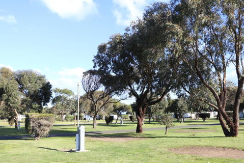 Anglesea Family Caravan Park - Accommodation Georgetown 1
