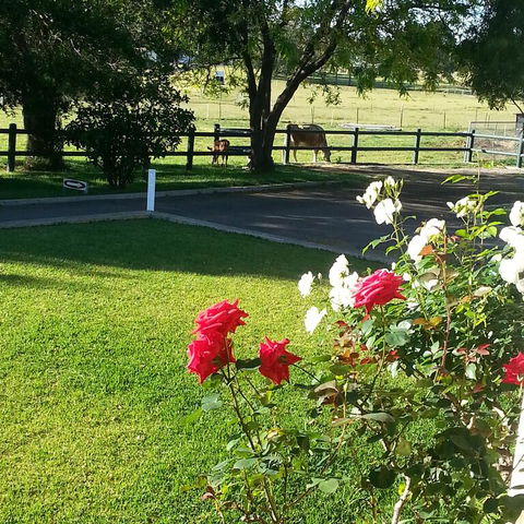 Appin Homestay B & B - Accommodation Georgetown 3