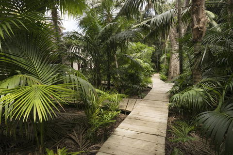 Arajilla Retreat - Accommodation Georgetown 3