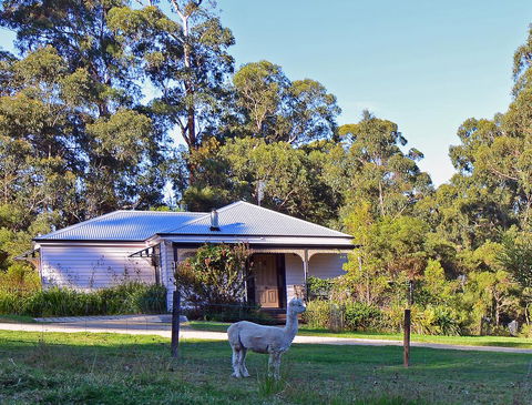 Araluen Park Cottages - Accommodation Georgetown 0