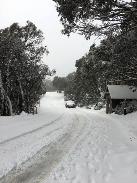 MAGNIFICENT SKIING ON MOUNT BULLER - Accommodation Georgetown 3