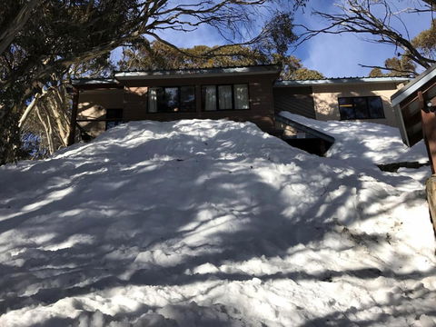MAGNIFICENT SKIING ON MOUNT BULLER - Accommodation Georgetown 1
