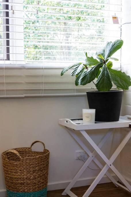 Maldon Cosy Garden Cottage - Charming One Room Studio - Accommodation Georgetown 3