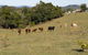 Mary Valley Views By Tiny Away - thumb 3