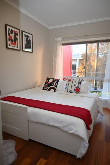 Mawson Red - Free Pool Access -Onsite Parking-Netflix-5 Mins To Mawson Interchange - Accommodation Georgetown 3