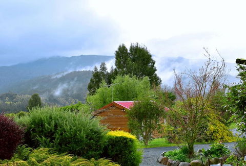 Maydena Mountain Cabins - Accommodation Georgetown 1
