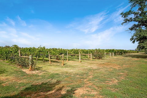 Milawa Vineyard Views - Guesthouse 2 - Accommodation Georgetown 0