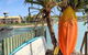 Mooloolaba Canal Front With Pontoon- 3 Beds - thumb 0