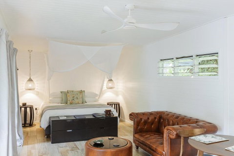 Mist At Cape Tribulation - Accommodation Georgetown 1