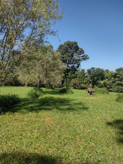 Misty Mountains Retreat - Accommodation Georgetown 1