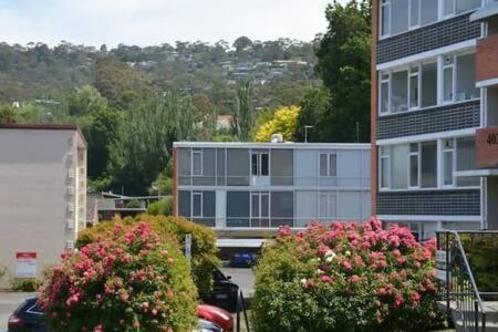 Modern 1 Bed-walk Casino Riverfront 5 Mins To CBD - Accommodation Georgetown 2