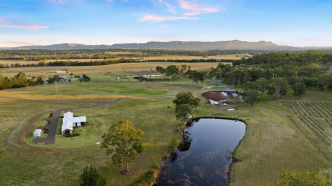 Molly Morgan Vineyard Villa Shiraz - Accommodation Georgetown 0